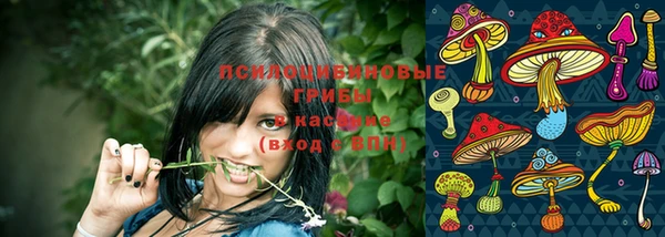 кокаин премиум Алексеевка