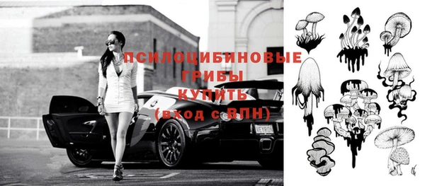 мдпв Алексин